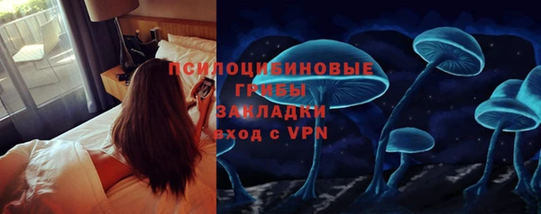шишки Пролетарск
