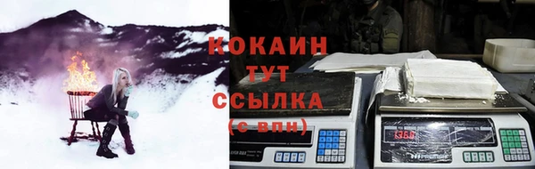 шишки Волоколамск