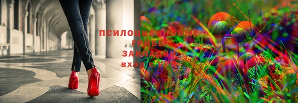 дурь Володарск