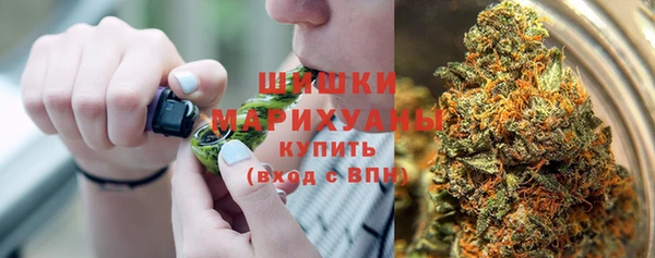 шишки Волоколамск