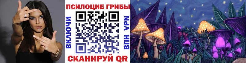 Псилоцибиновые грибы Cubensis мега маркетплейс Волосово